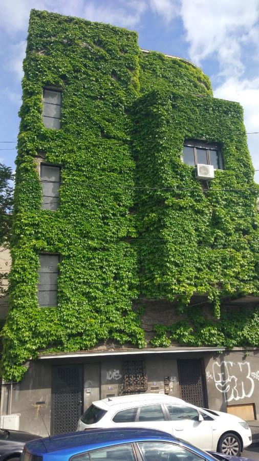 Central Green House Bukarest Exterior foto